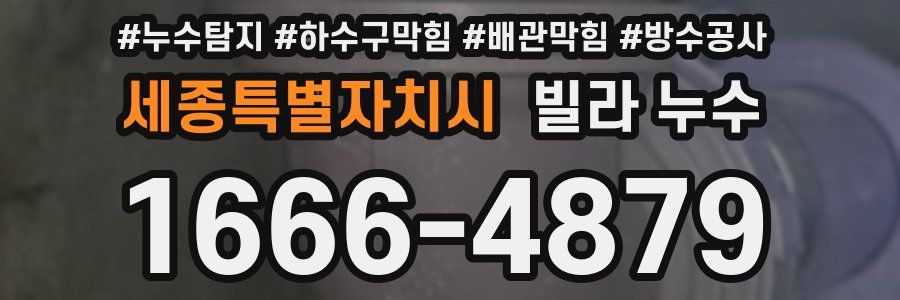 세종특별자치시 빌라 누수