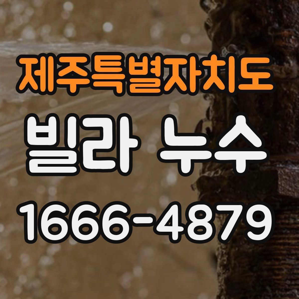 제주특별자치도 빌라 누수 견적이 크게 달라질 수 있는 조건