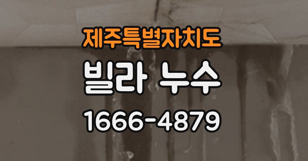 제주특별자치도 빌라 누수