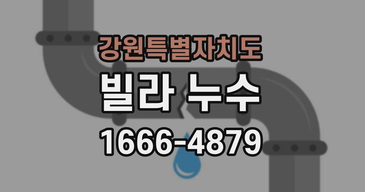 강원특별자치도 빌라 누수