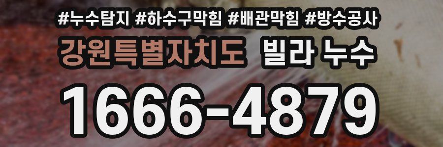 강원특별자치도 빌라 누수