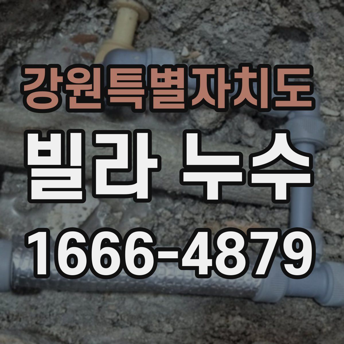 강원특별자치도 빌라 누수