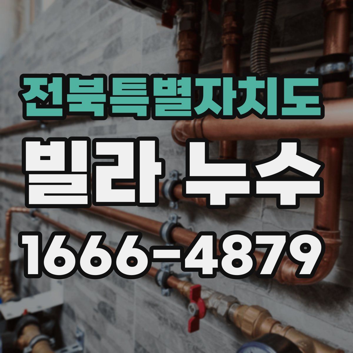 전북특별자치도 빌라 누수