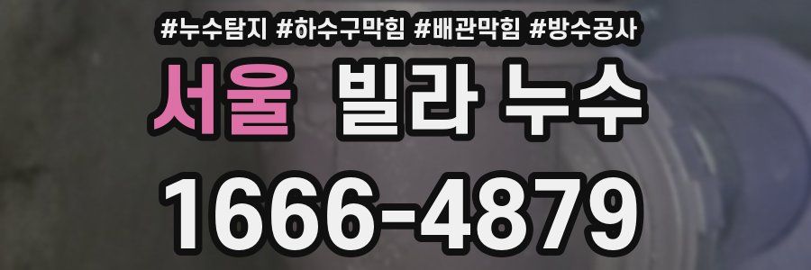 서울 빌라 누수