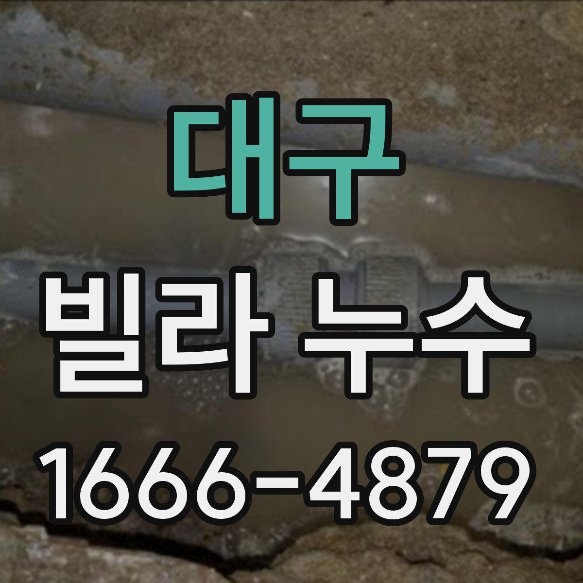대구 빌라 누수