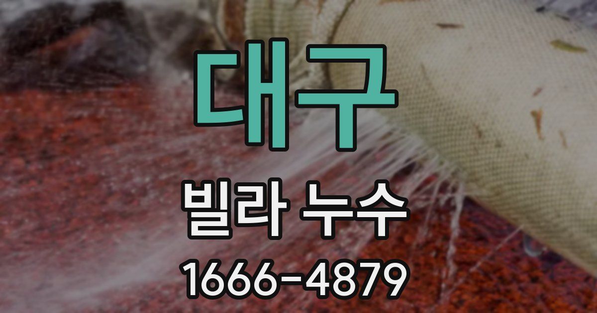 대구 빌라 누수