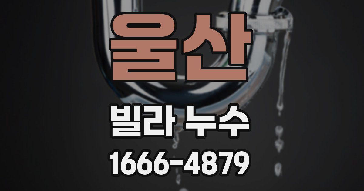 울산 빌라 누수