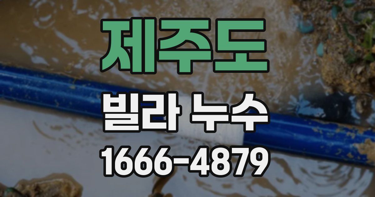 제주도 빌라 누수
