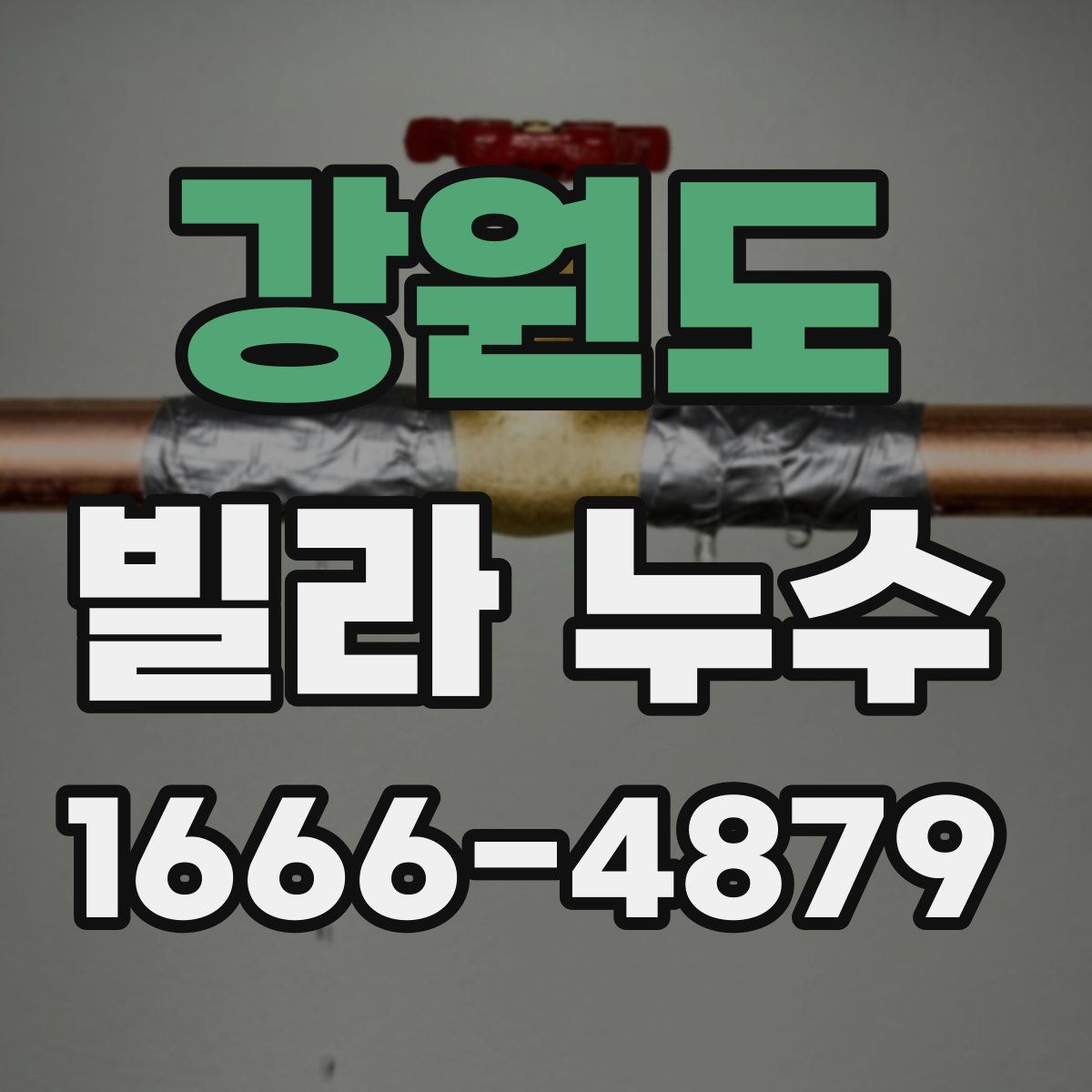 강원도 빌라 누수