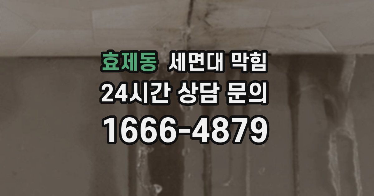 효제동 세면대 막힘