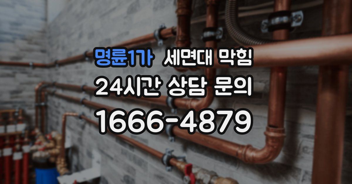 명륜1가 세면대 막힘