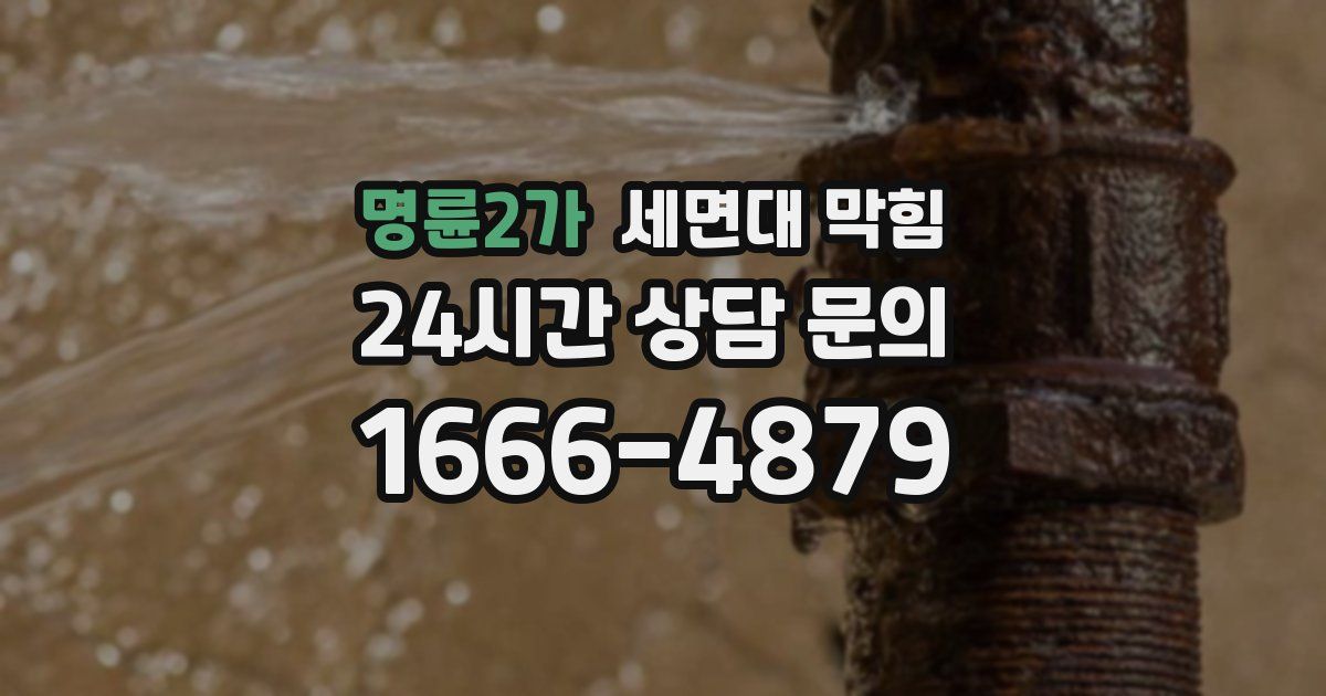 명륜2가 세면대 막힘