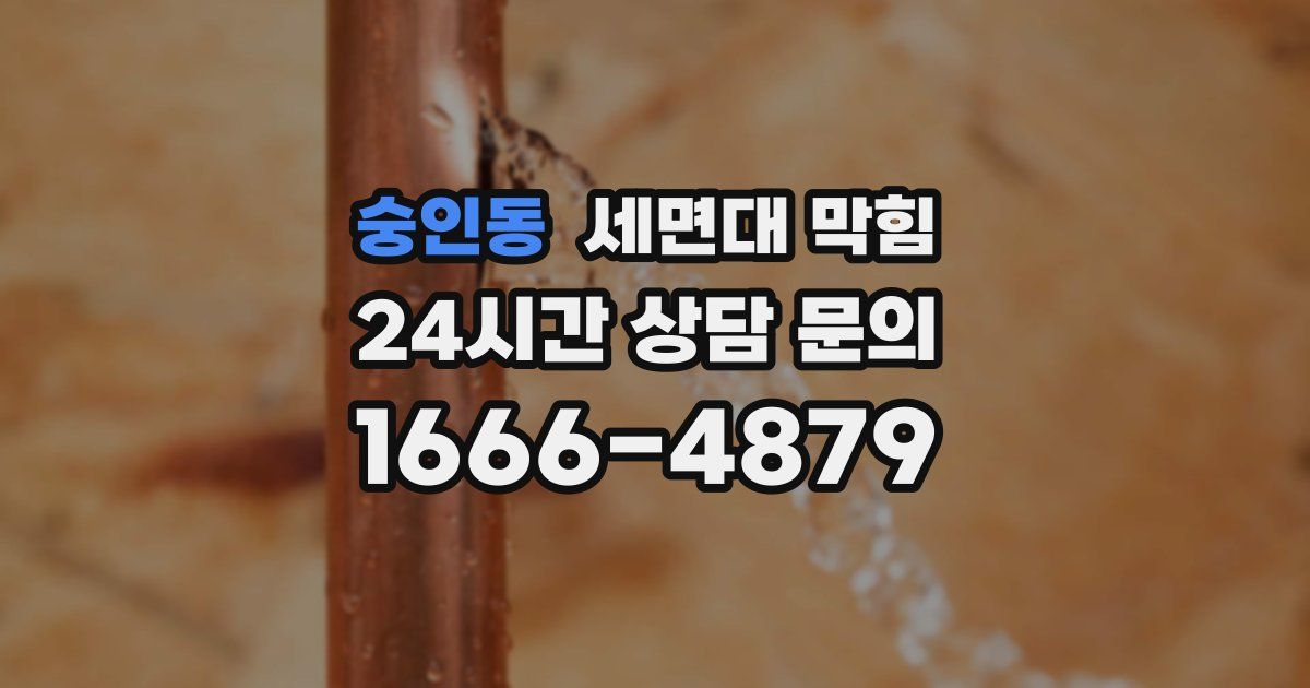 숭인동 세면대 막힘