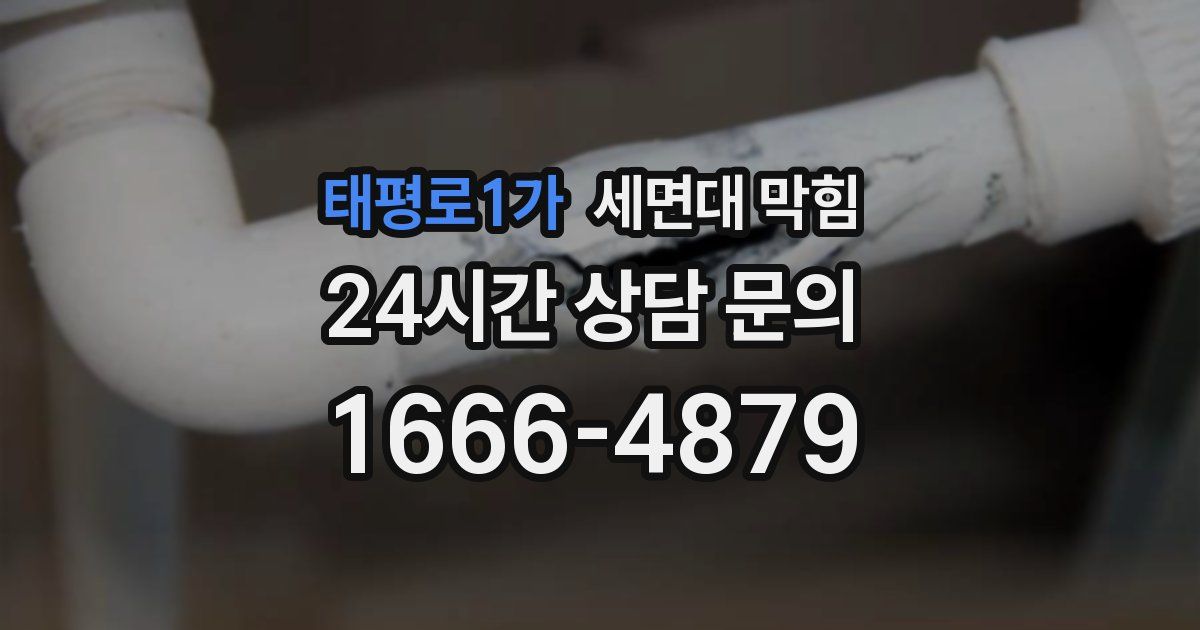 태평로1가 세면대 막힘