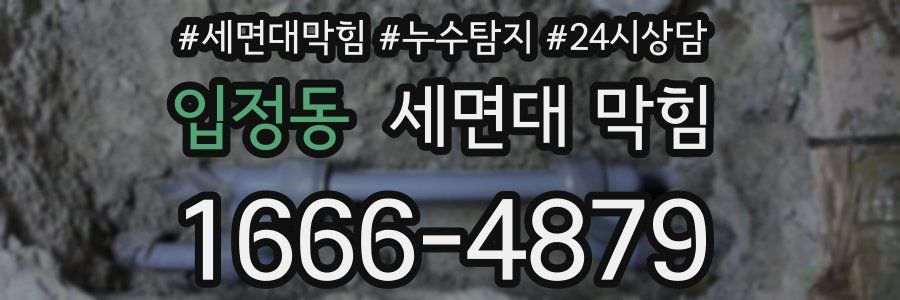 입정동 세면대 막힘