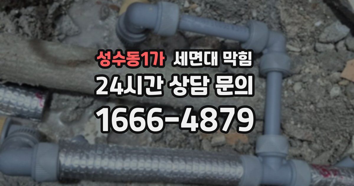 성수동1가 세면대 막힘