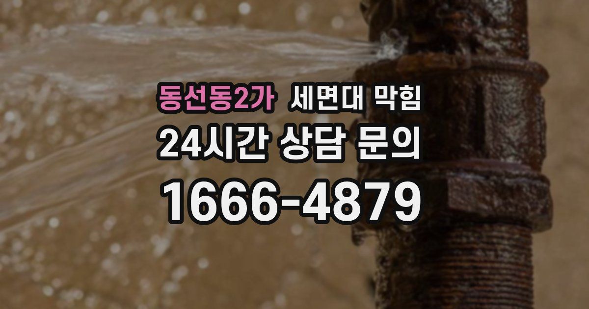 동선동2가 세면대 막힘