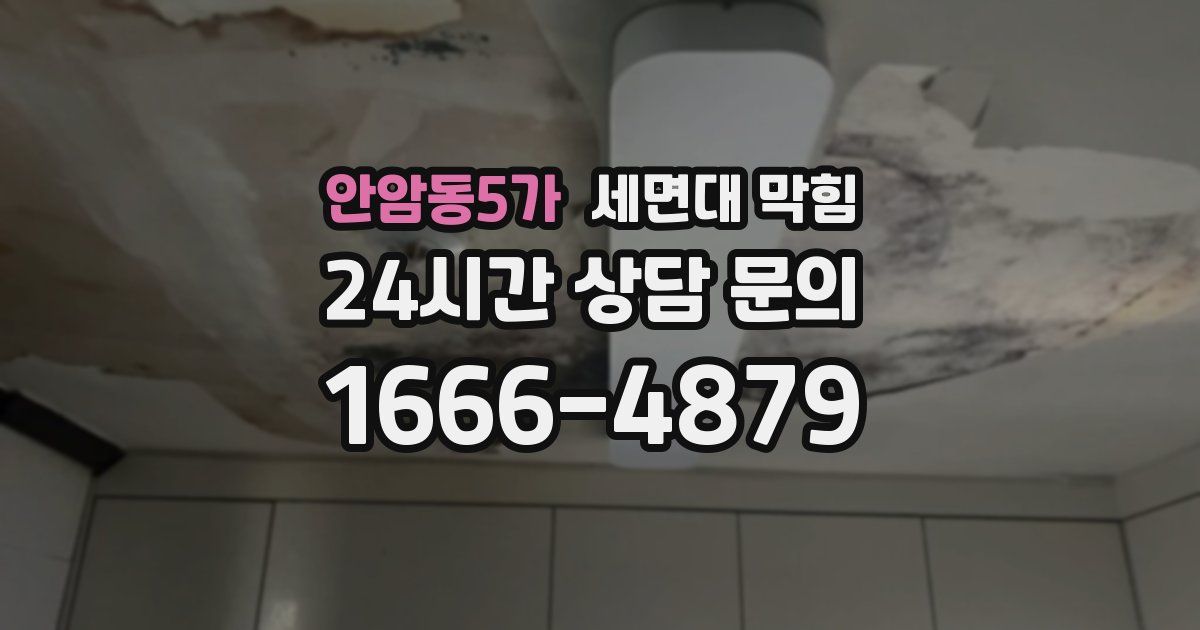 안암동5가 세면대 막힘