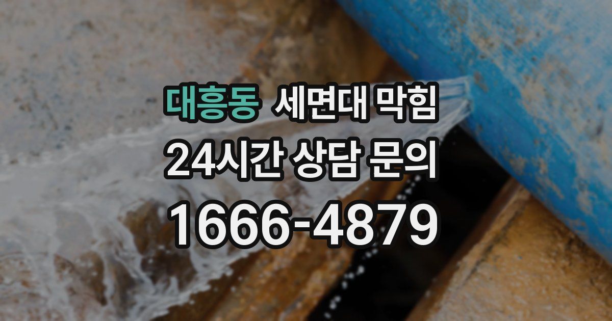 대흥동 세면대 막힘