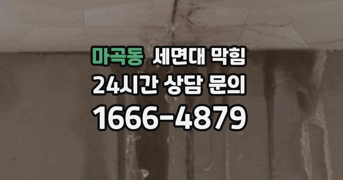 마곡동 세면대 막힘