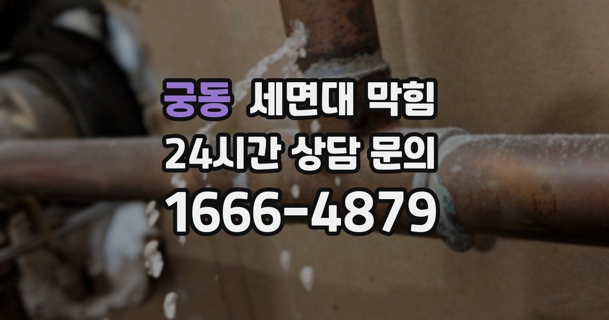 궁동 세면대 막힘