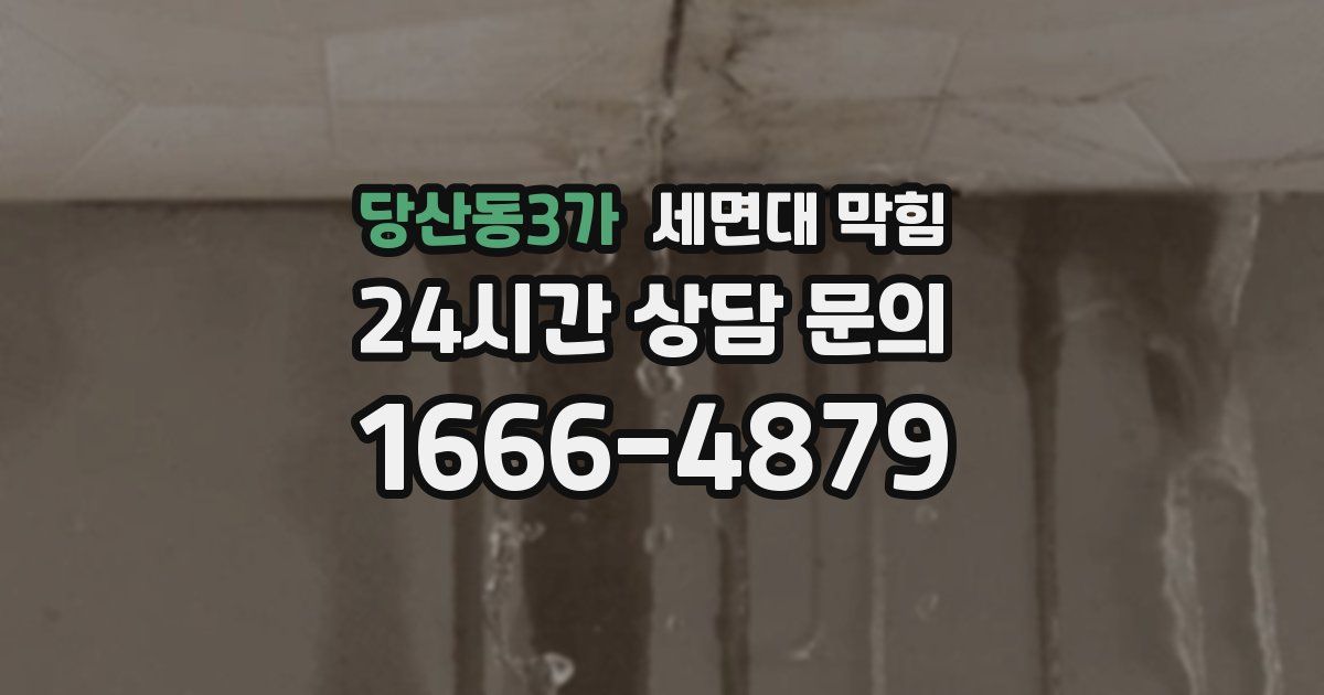 당산동3가 세면대 막힘