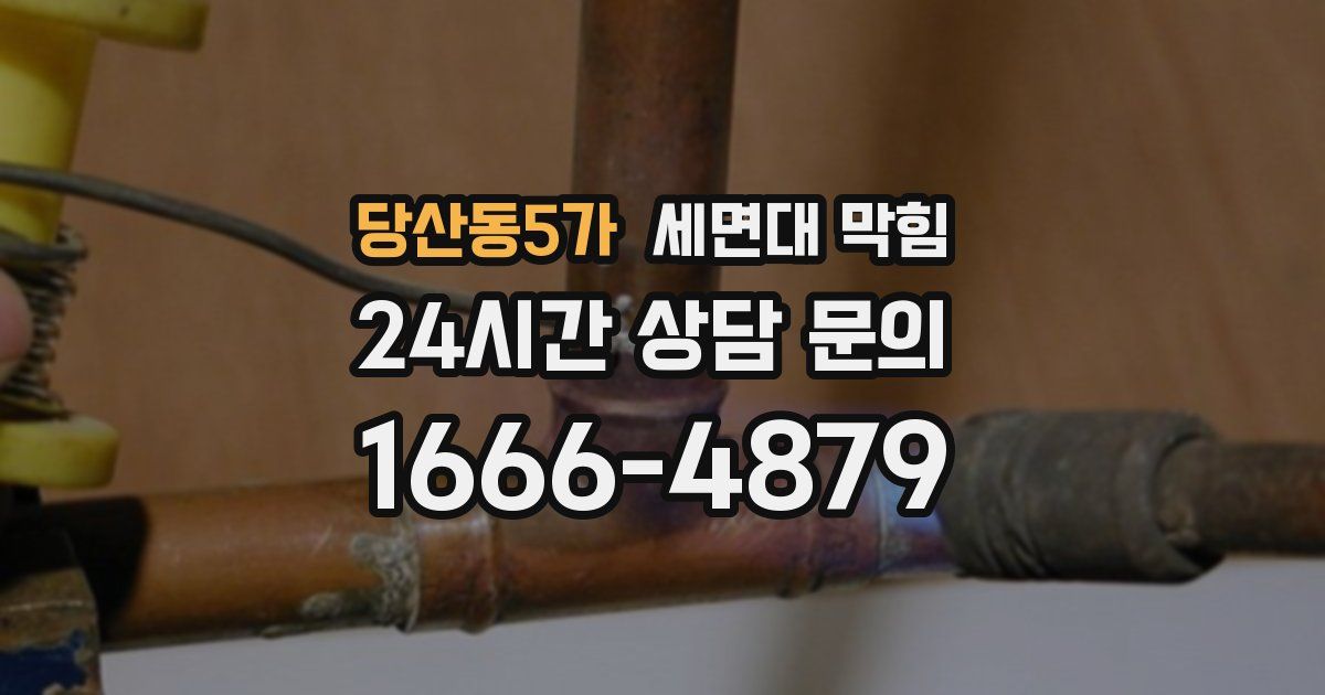 당산동5가 세면대 막힘