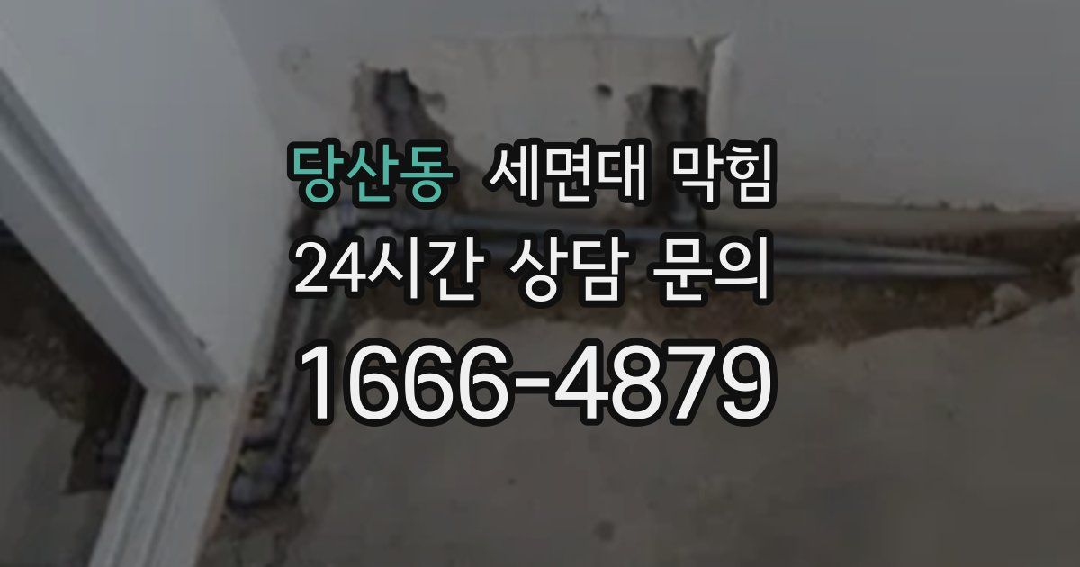 당산동 세면대 막힘