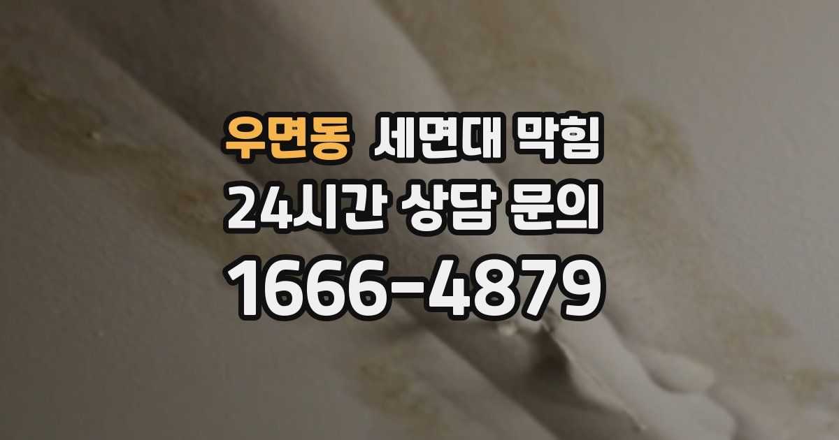 우면동 세면대 막힘