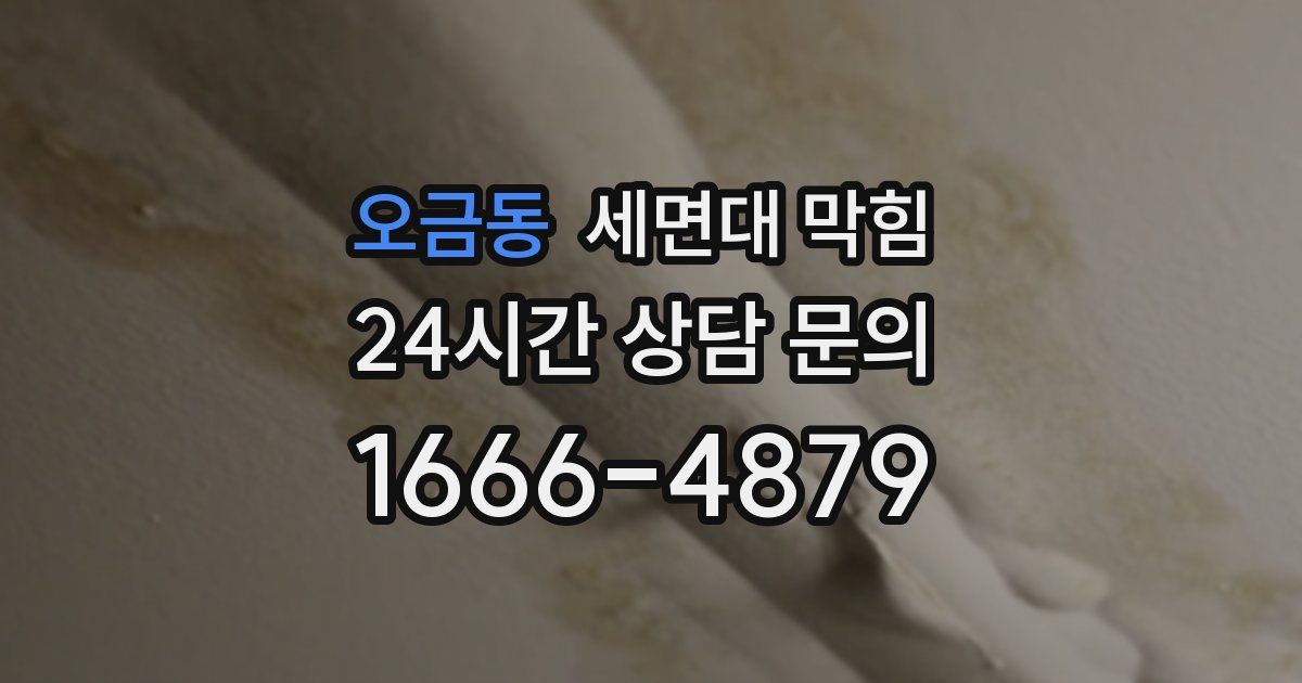 오금동 세면대 막힘