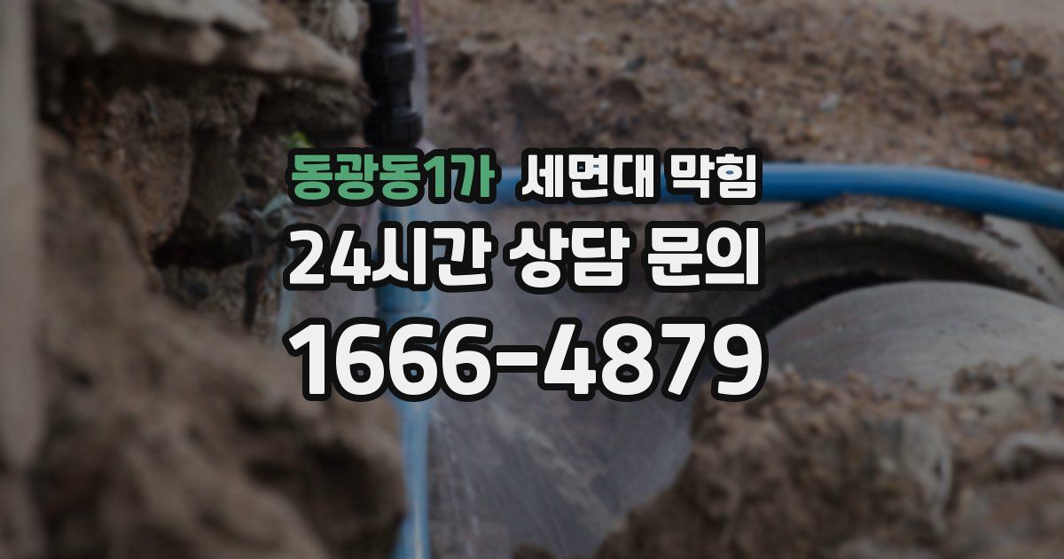 동광동1가 세면대 막힘