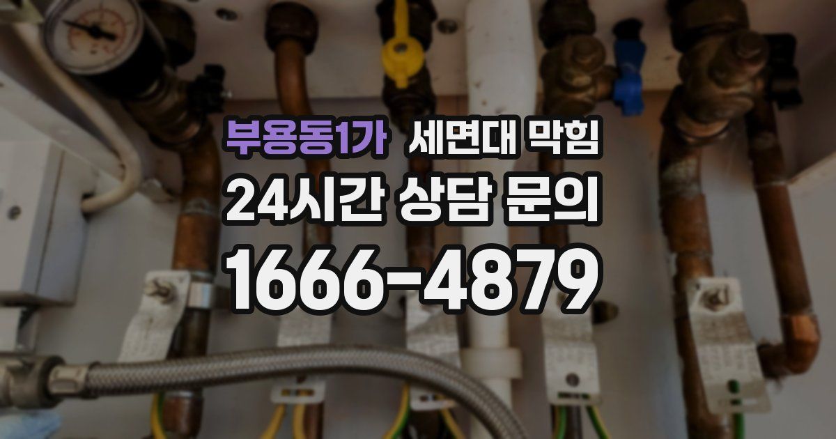 부용동1가 세면대 막힘