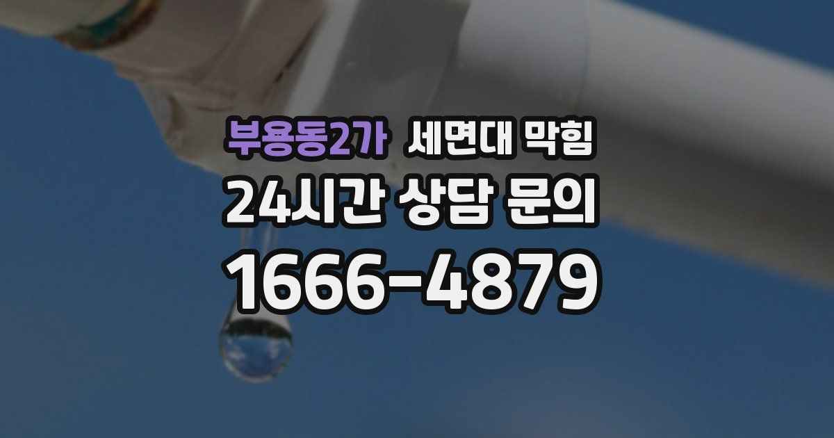 부용동2가 세면대 막힘