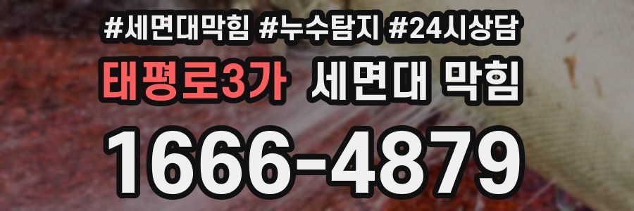 태평로3가 세면대 막힘
