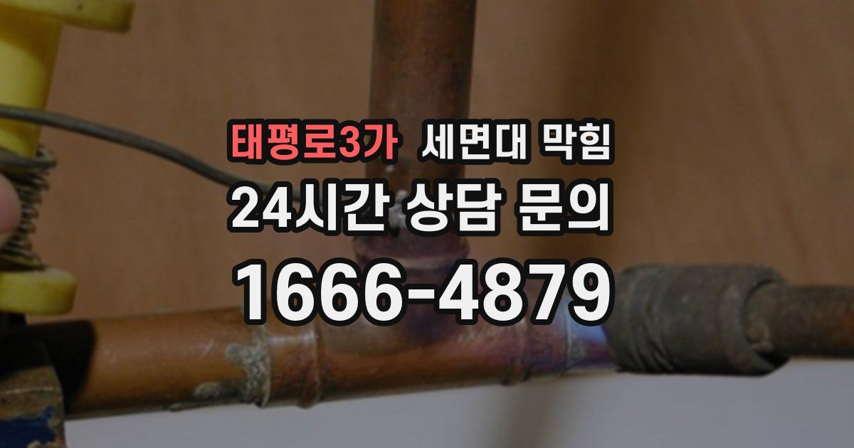 태평로3가 세면대 막힘