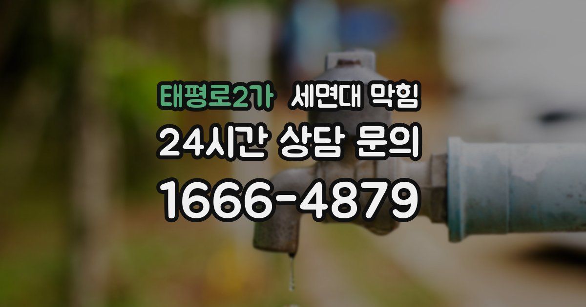 태평로2가 세면대 막힘