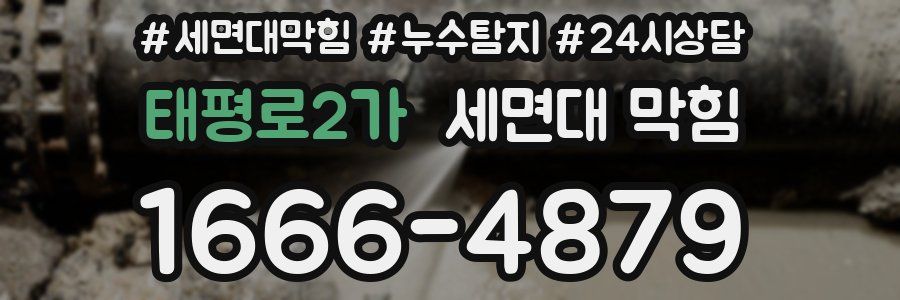 태평로2가 세면대 막힘