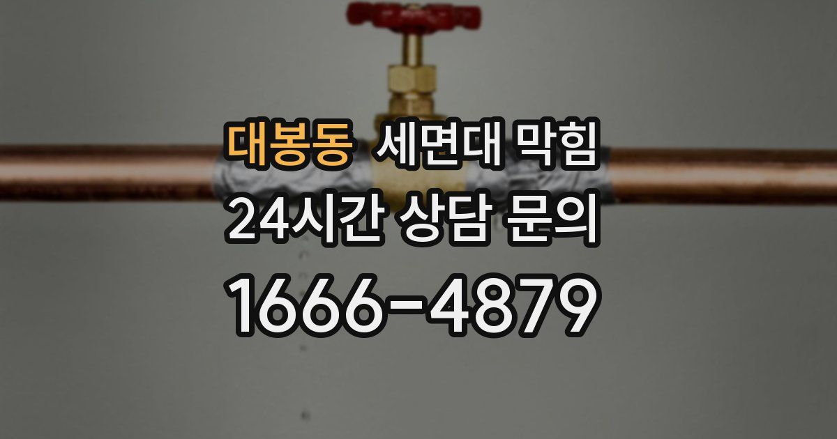 대봉동 세면대 막힘