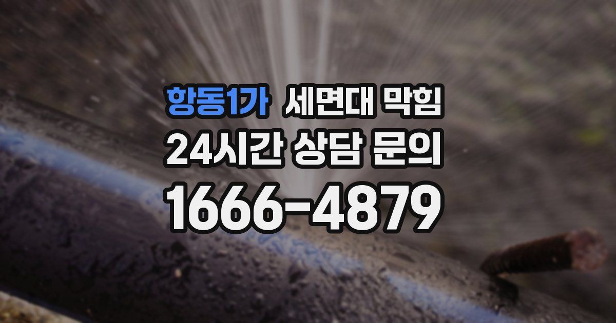 항동1가 세면대 막힘