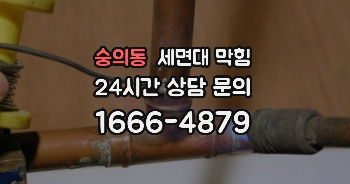 숭의동 세면대 막힘