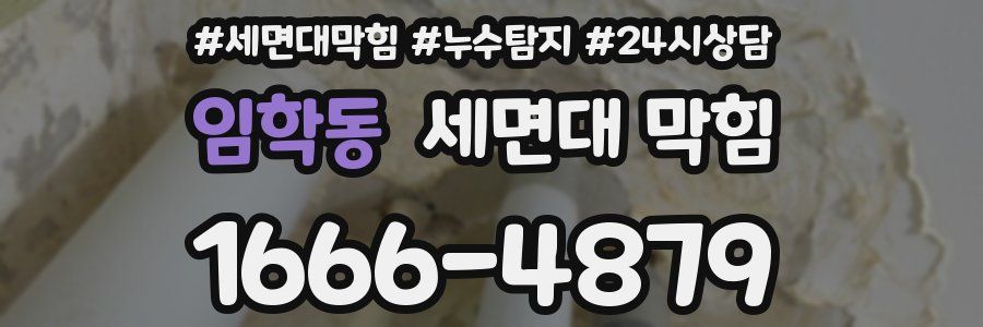 임학동 세면대 막힘