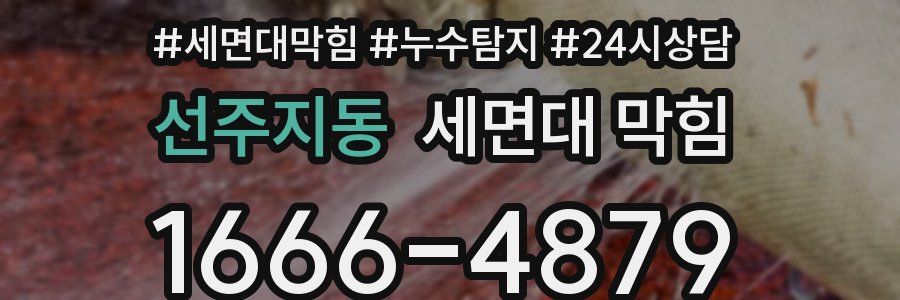 선주지동 세면대 막힘