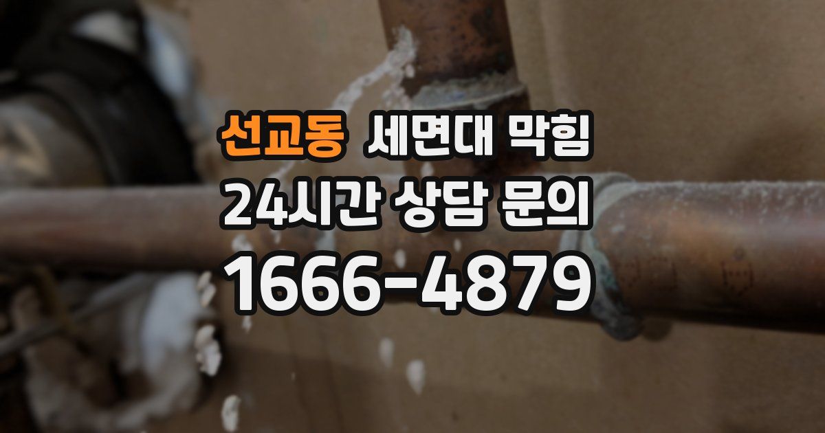 선교동 세면대 막힘