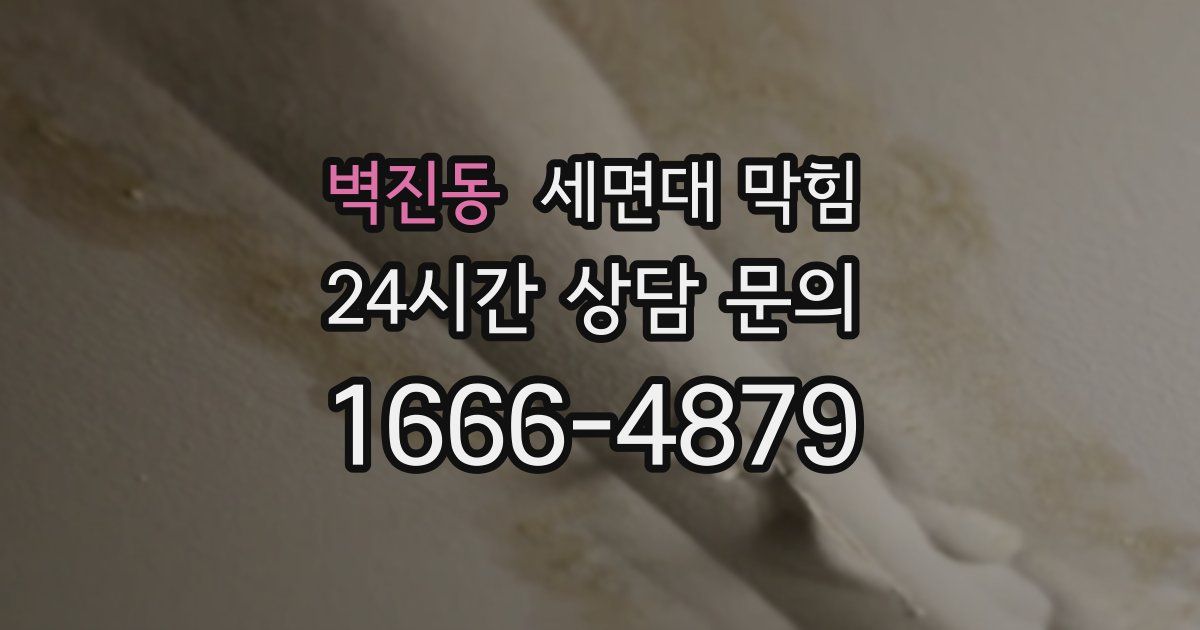 벽진동 세면대 막힘