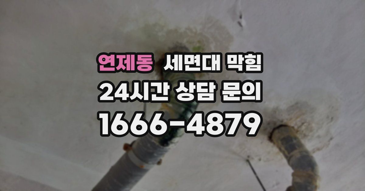 연제동 세면대 막힘