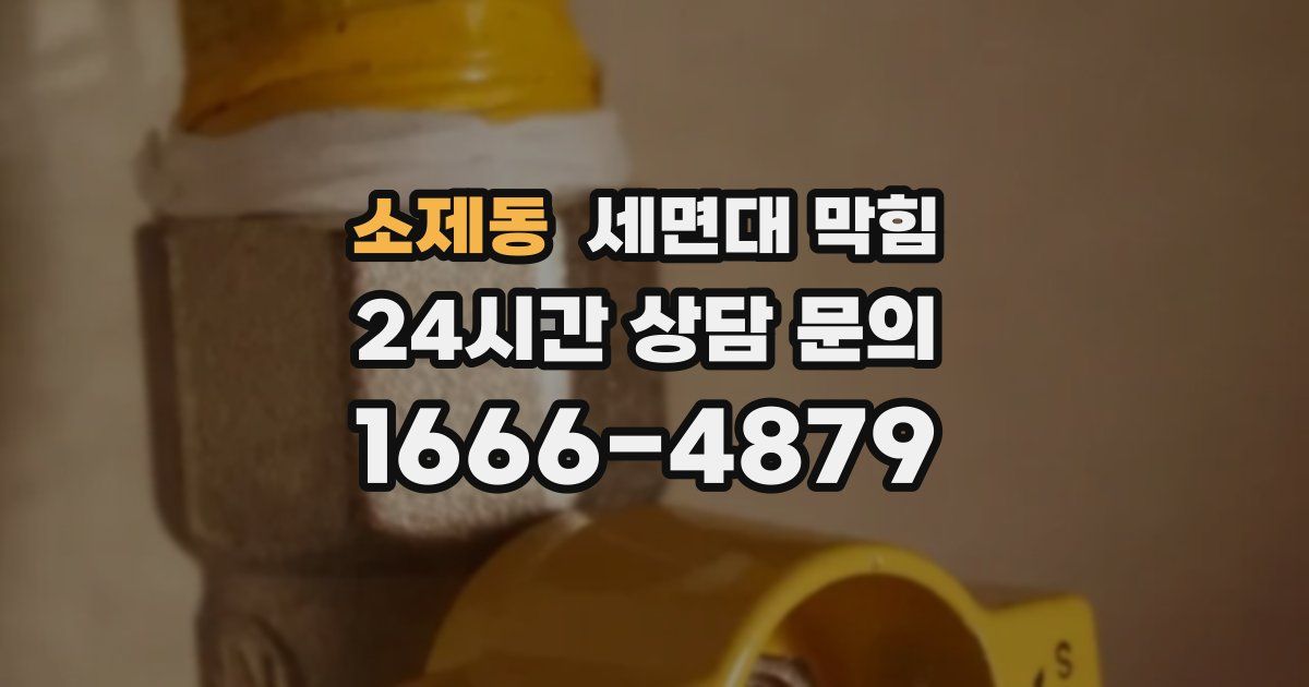 소제동 세면대 막힘