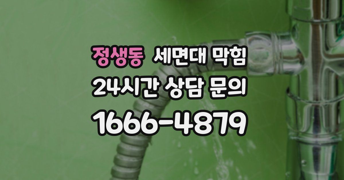 정생동 세면대 막힘