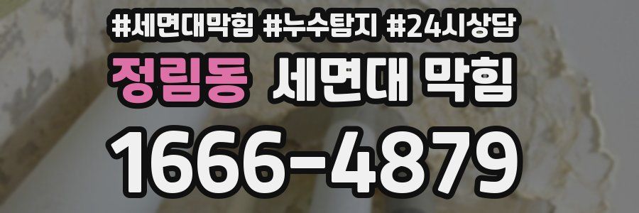 정림동 세면대 막힘