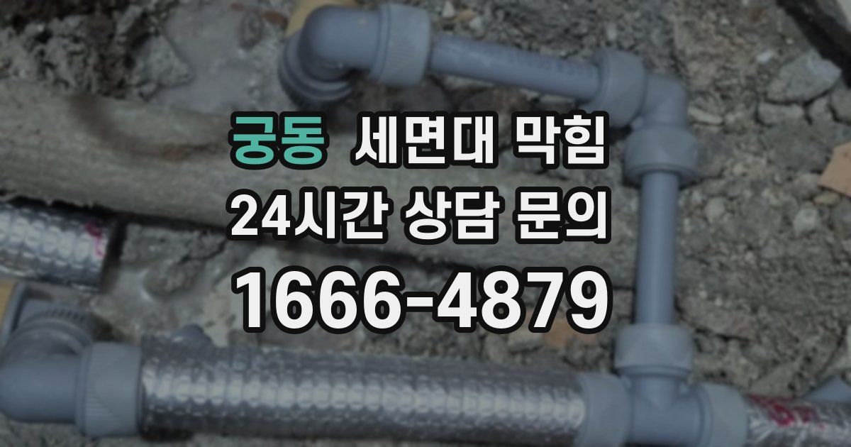 궁동 세면대 막힘