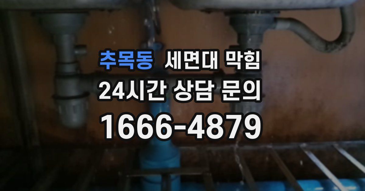 추목동 세면대 막힘